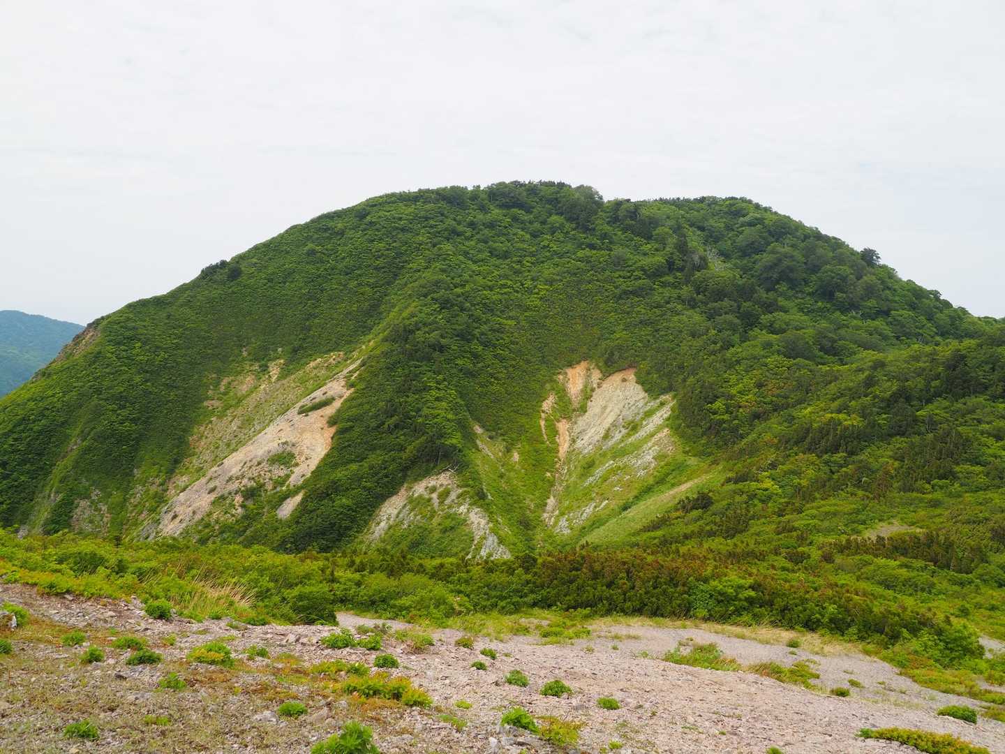 尻立山-論天山-芝尻山 往復コースの写真