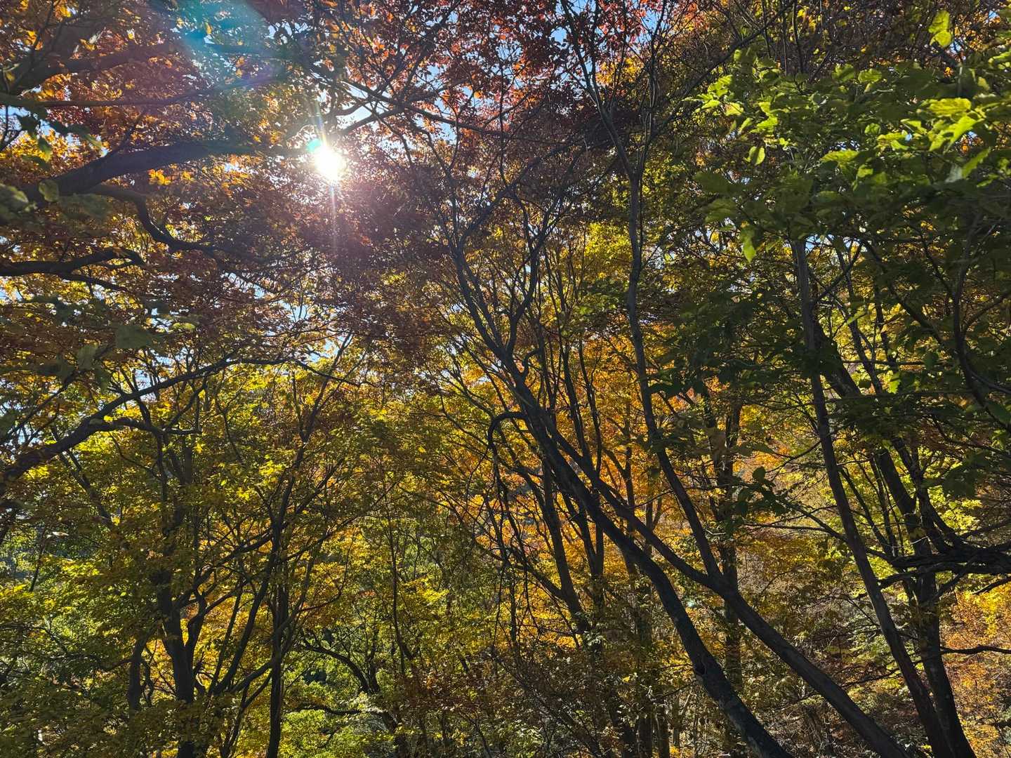 キラッキラ✨