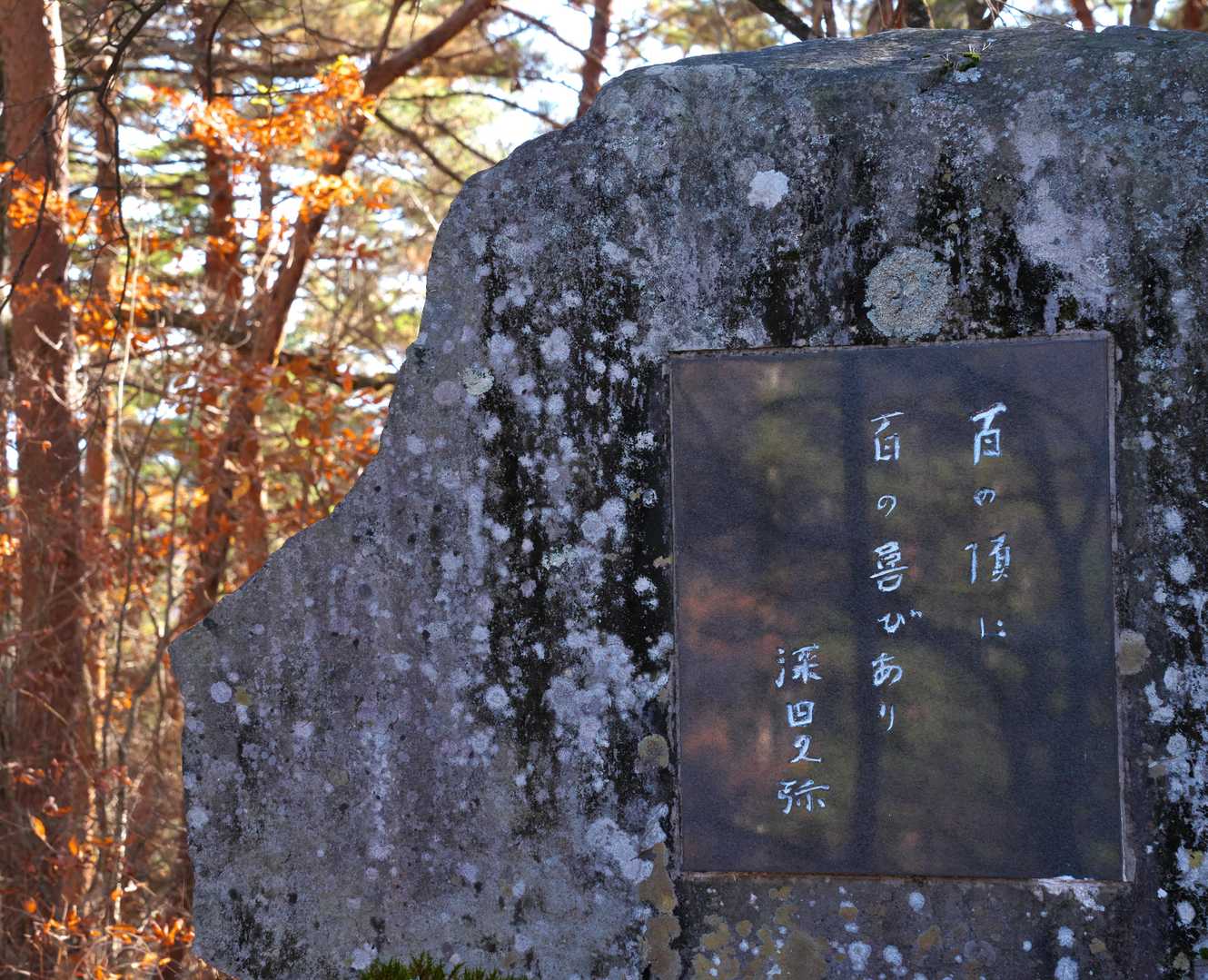 山登りの素晴らしさを知って
しみじみ共感できるお言葉です。

ありがとうございました。