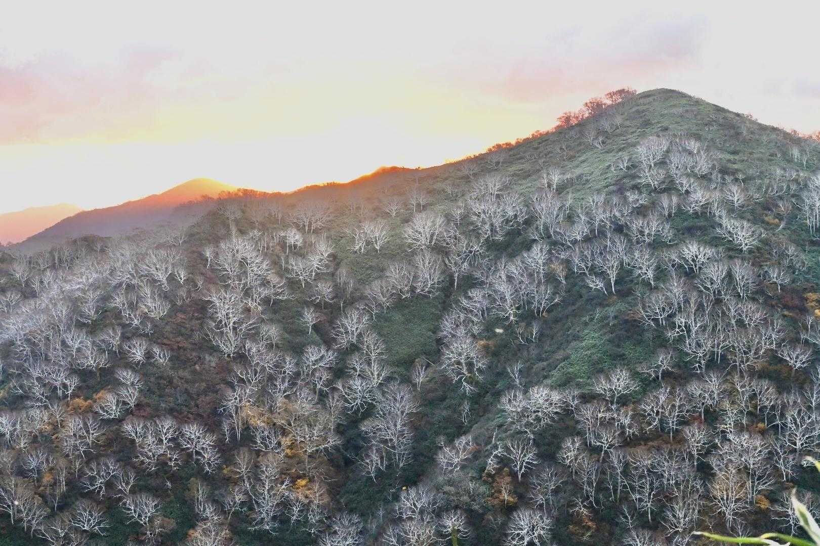 日が登ります🌞