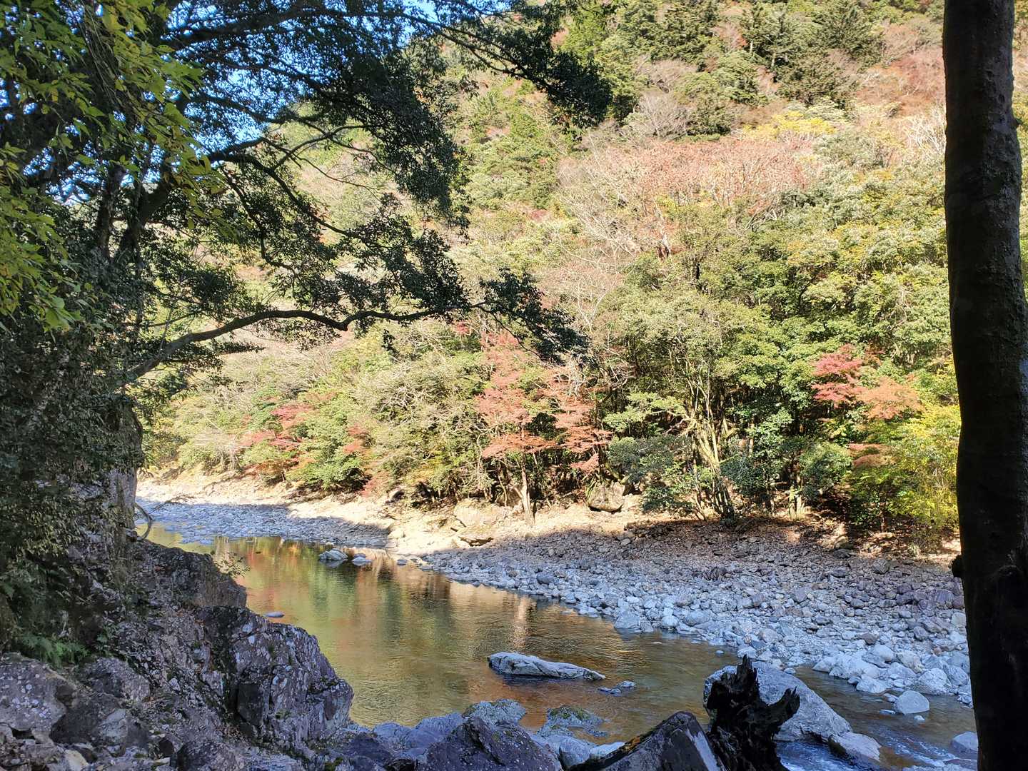大杉谷-大台ヶ原山 往復コースの写真