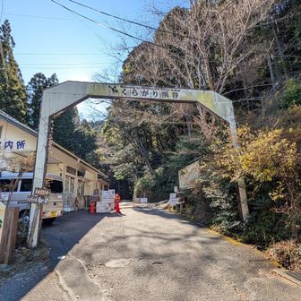 走ってきた。
還暦メタボ爺さんの走りは逃走かトイレにしか見えないかも。💦