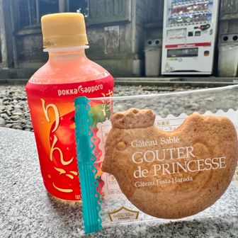 ハラダのサブレと自販機で冷たいりんごジュース