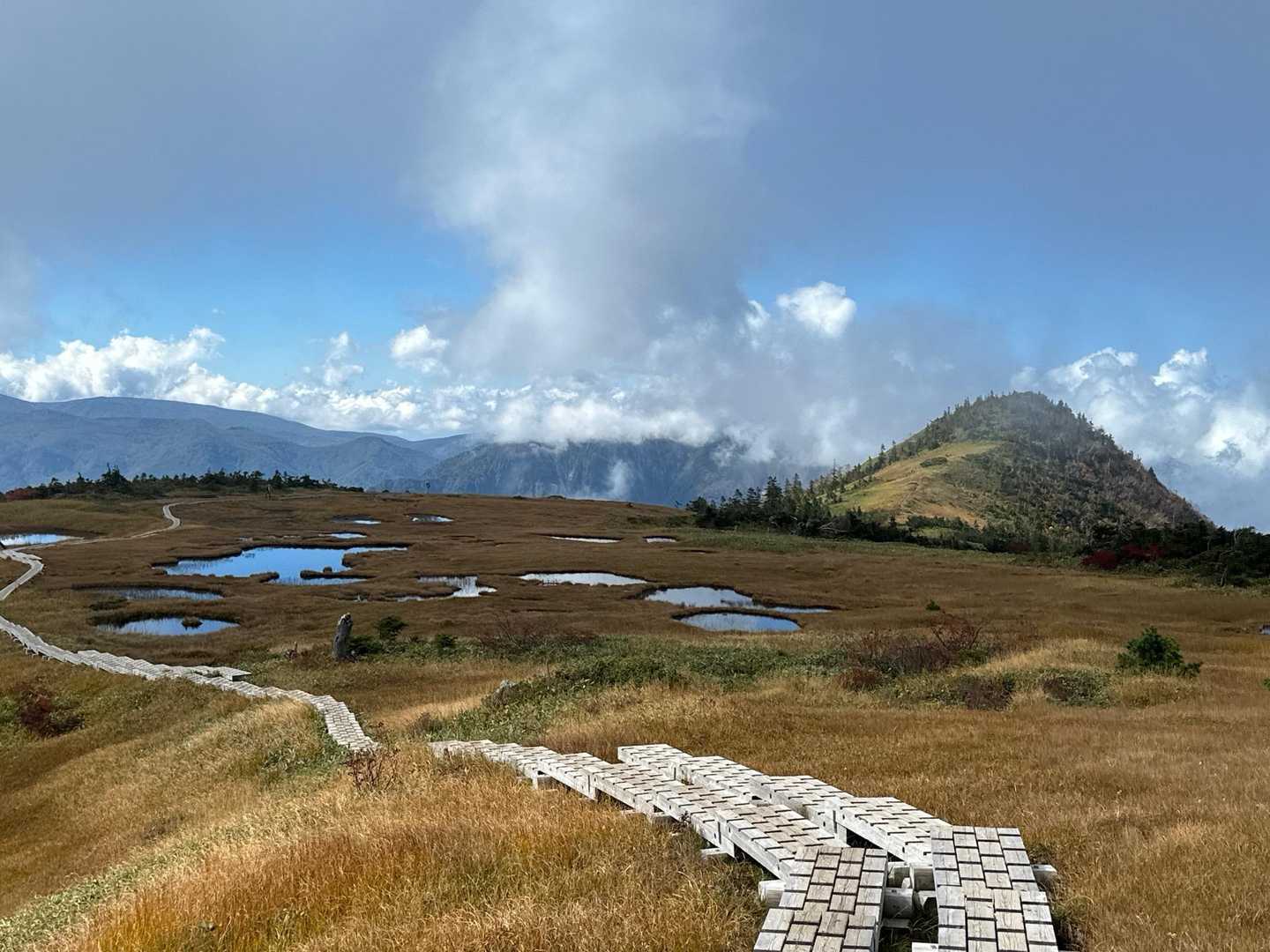 本当に広大なキレイな湿地帯でした😊