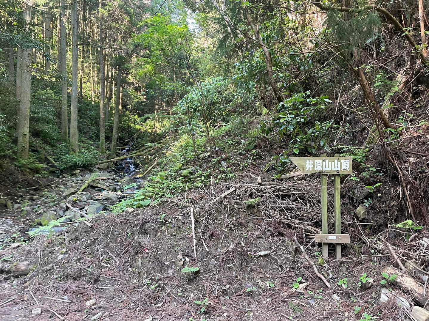 瑞梅寺登山口-井原山 往復コースの写真