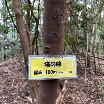 　　　塔の峰　　道標も無く