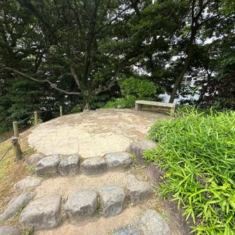 山頂にベンチ⤴︎朝食べ損なったサンドイッチを食べましょう⤴︎