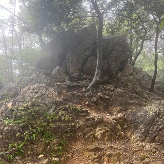 ラクダ岩