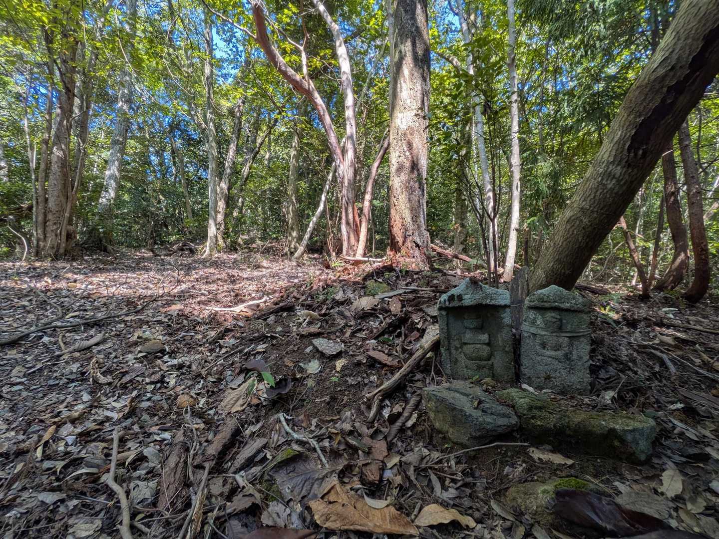 登山道沿いには頻繁に点在する石仏は写し霊場（ミニ四国八十八ヶ所霊場）のようです🙏