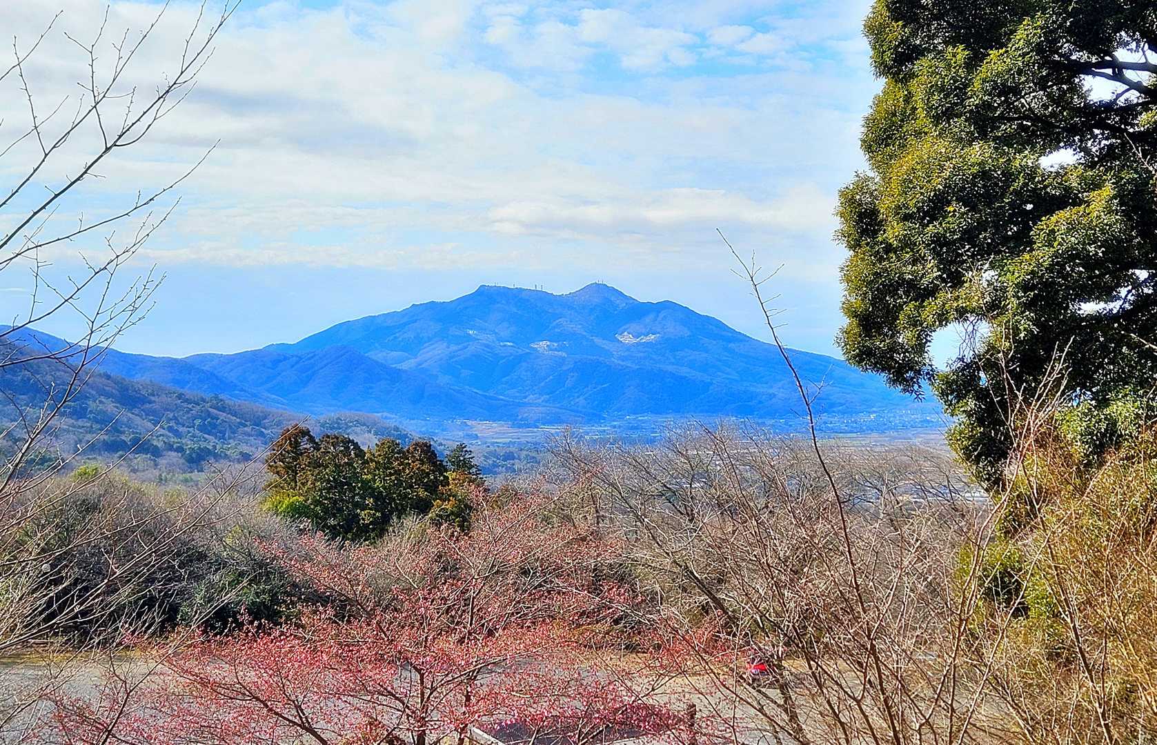筑波山もよく見えてますね🙌😄😄