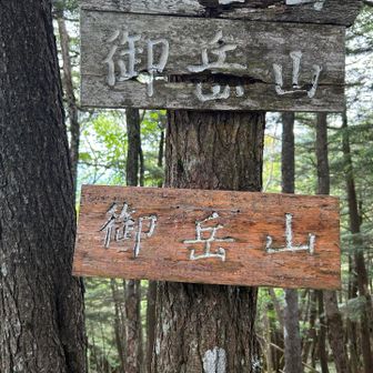 御岳山
ここから鋸山まで10個くらいのピークがあり、体力をごっそり持っていかれます