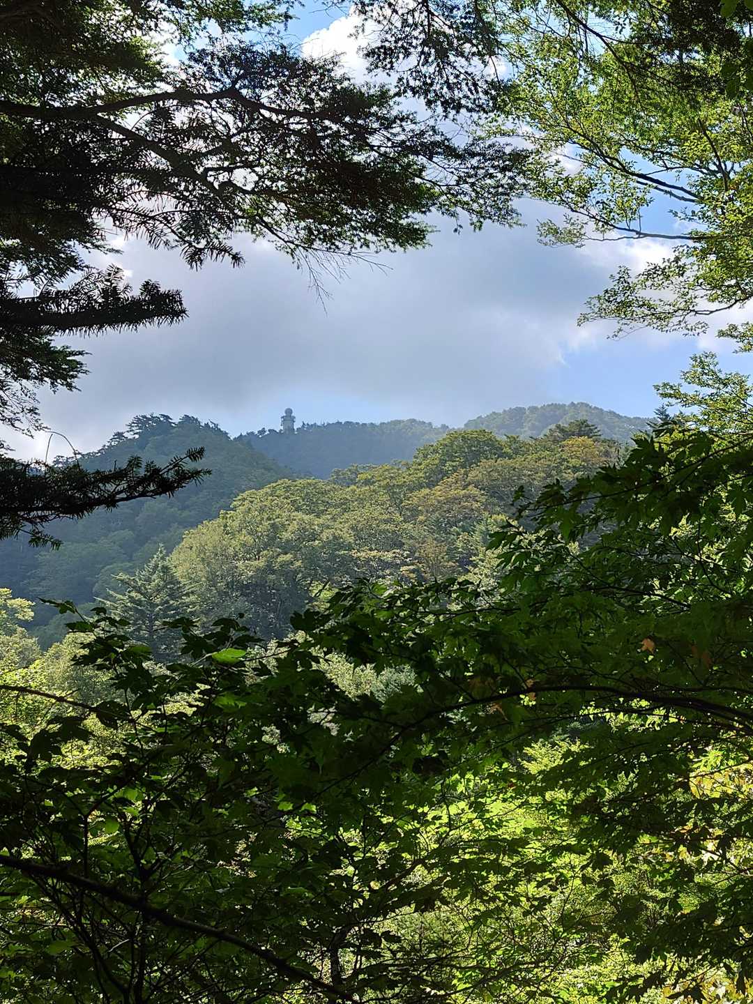 高城山方面を見上げると、遠くに、レーダードームが見えました。
