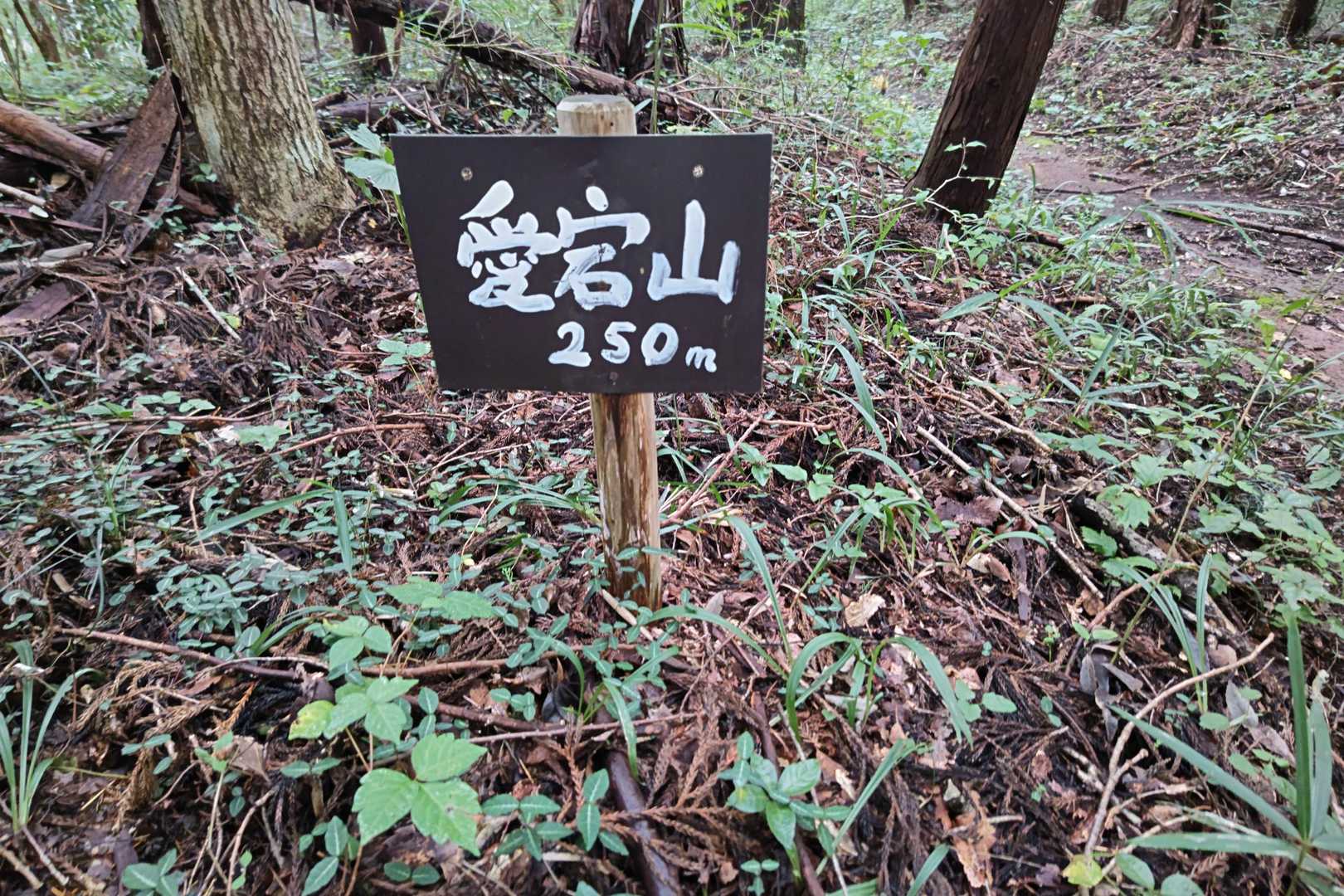 愛宕山