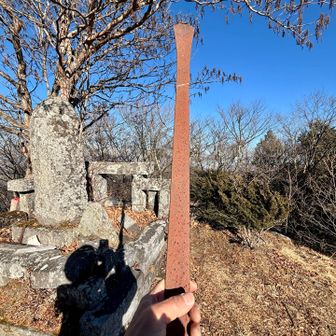 おっきいのあります

振り回したくなる衝動に抗えません🫨

みなさま、くれぐれもご安全に