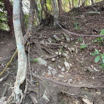 更にロープ場は続くし、ロープなしではシンドイ。正直、金立山よりきついかも