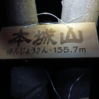 登山靴ではないので落ち葉🍂の上を歩くと滑るスベる😅とぅるんとぅるんです🤣
ストックも無いので落ちてる太めの枝2本を得意の足蹴りで折り、長さ調整し使用😁
🔔無しなので暗闇でガサガサと騒がしいので3ヶ所で唸り声風に威嚇して追っ払いました(内心ビビって怖かった😭)