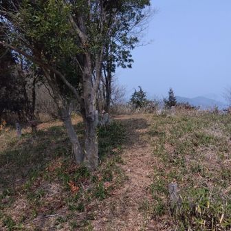 何山だったか、既に分からず
展望が開けてきました