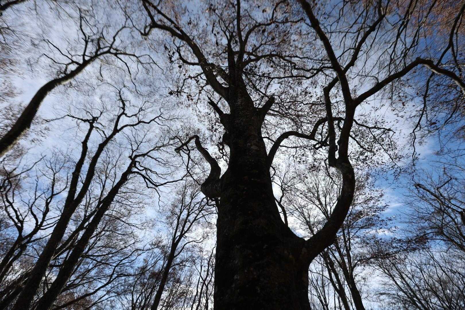 三方倉山 周回コースの写真