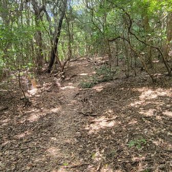此方は皿倉山方面