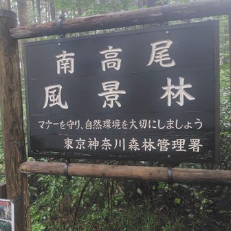 霧雨の山道、暑くなく快適