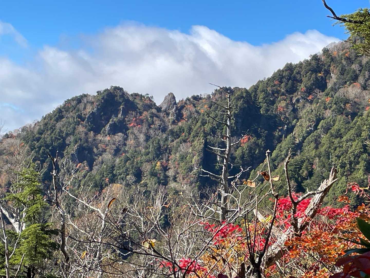 尖った⛰️不動岩テッペンが見える
チャレンジしてきたよー