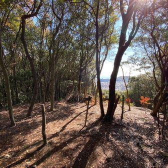 よく整備頂きありがとうございます😊