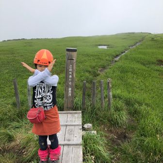 yamanamichan（やまなみちゃん）