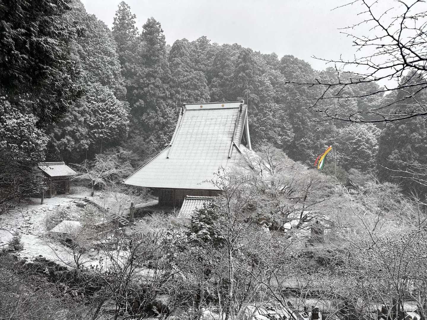鬼ヶ城 往復コースの写真