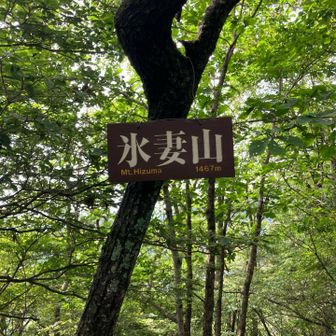 帰りので氷妻山で休憩