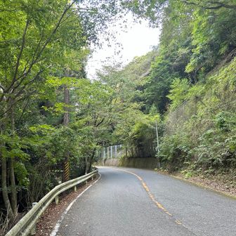 ビジターセンターからしばらく車道歩き🚶歩道がないので注意⚠️