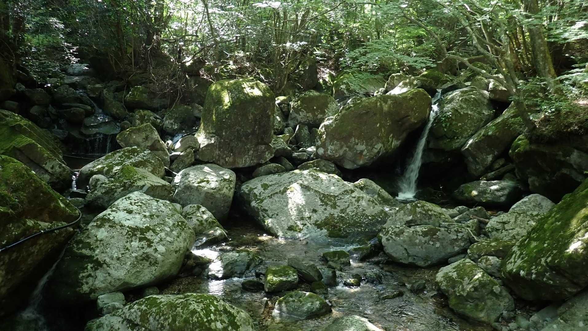 最終確認。
やはり風があって涼しい。
