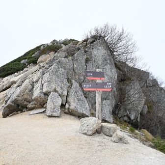 摩利支天天分岐