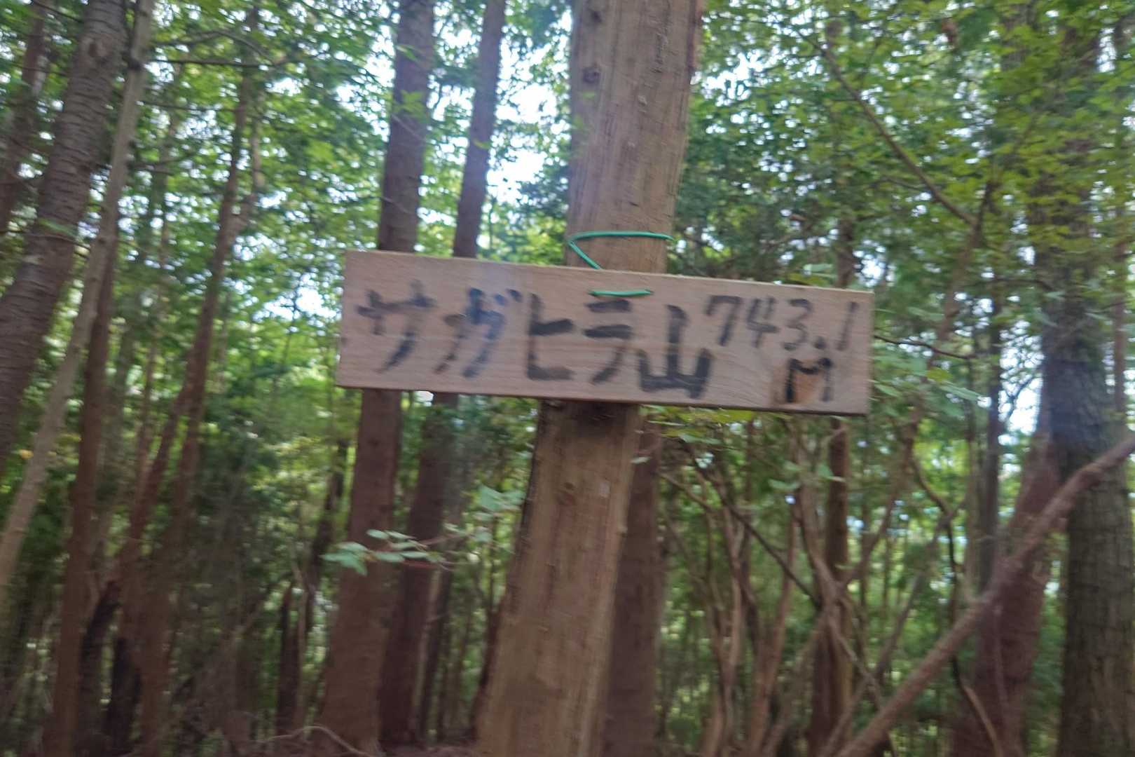 サガヒラ山