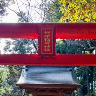 枡原稲荷神社⛩️