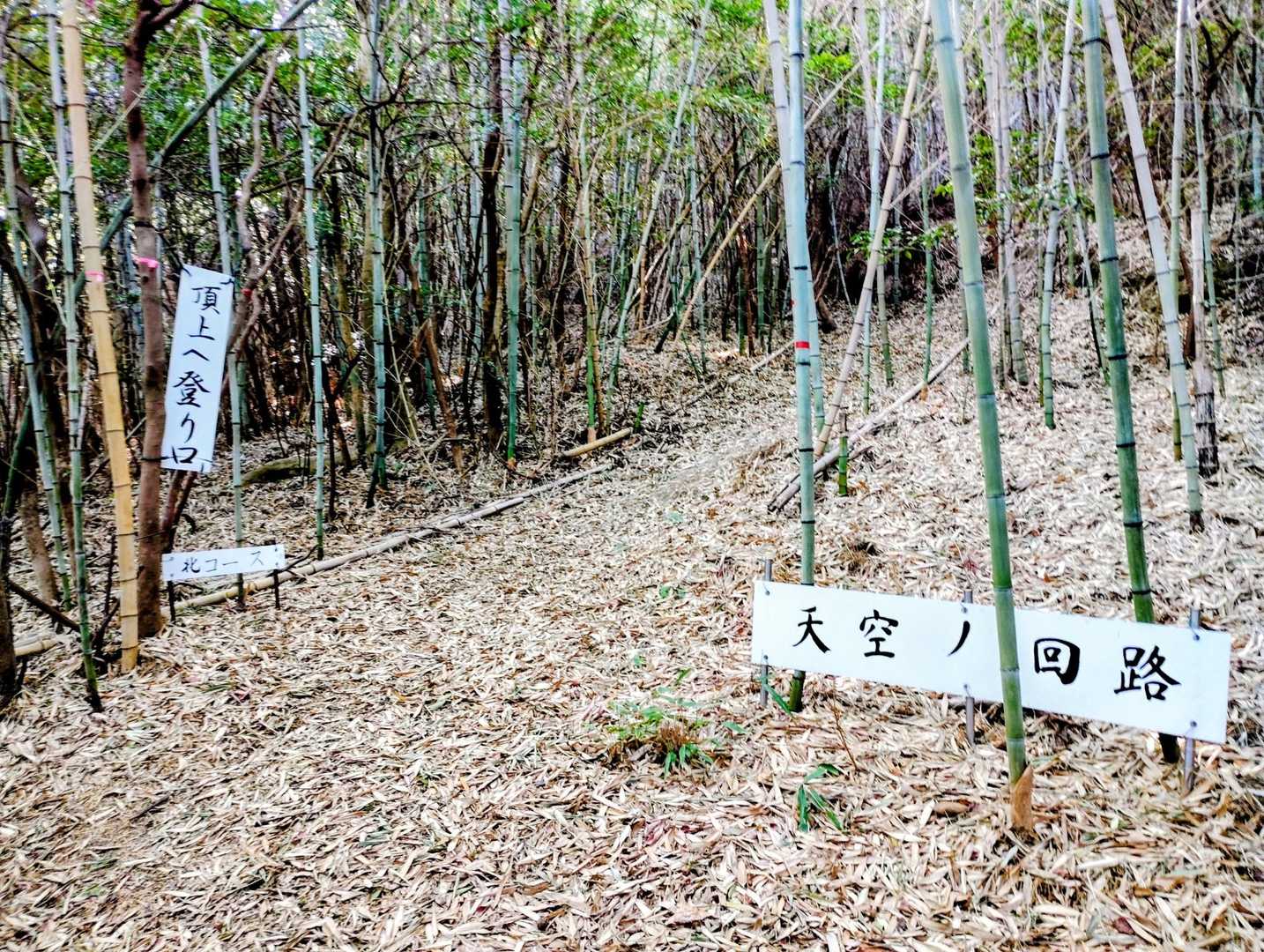 ここまで降りてきました🚶‍♀