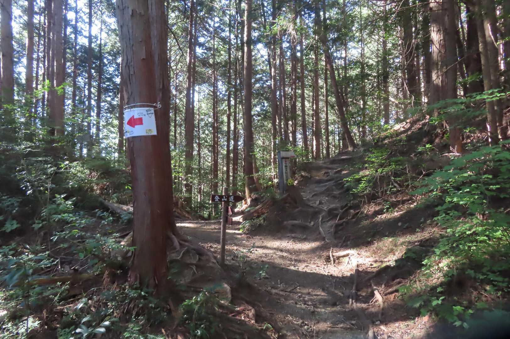 すぐに十字路
山頂は右へ登っていきます
右から
尾根道登山道
まっすぐ行くと川辺町グランドキャニオンが見られる遠見山へ行くことができます