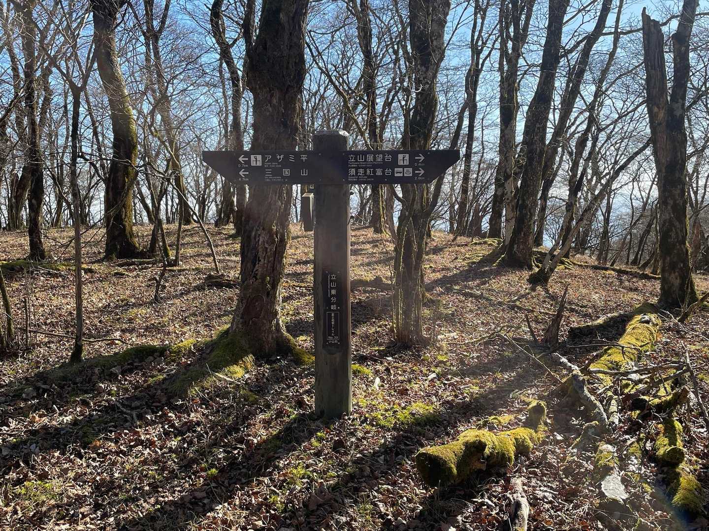 籠坂峠バス停-アザミ平-大洞山-楢木山-三国山-三国峠-鉄 縦走コースの写真