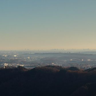 稲荷山展望台から新宿・池袋方面