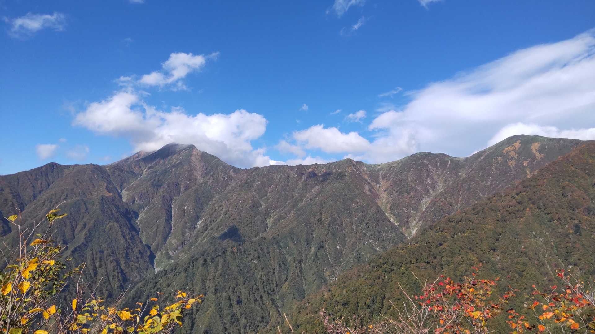 天気は良いが、バテバテ。