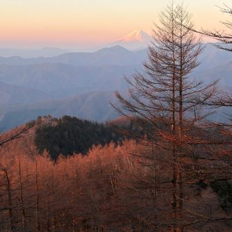 今の季節、なんとなくピンク色っぽいような、春なんだなぁー