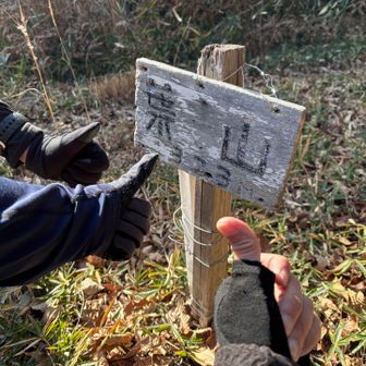 しりとりしてたら、いつの間にか葉山に到着！