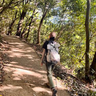 キラキラ✨の朝日とそよ風が心地いいね
