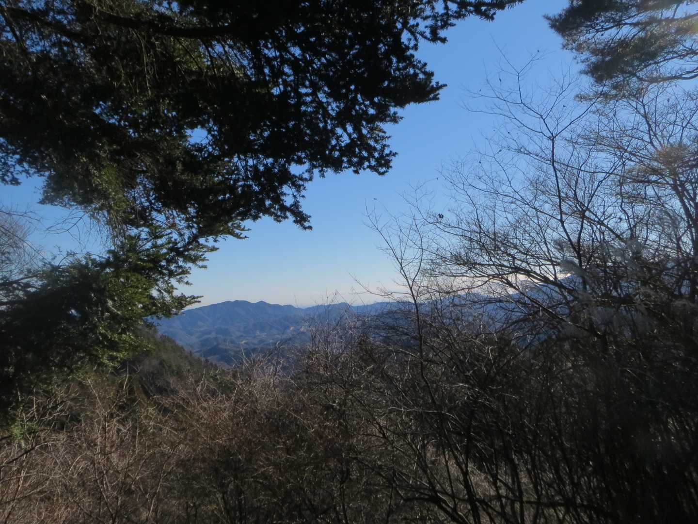 山頂からの眺望
ここから激下り🏃💦💦