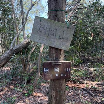 納岡山🔺（４座目）