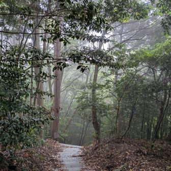 行く道