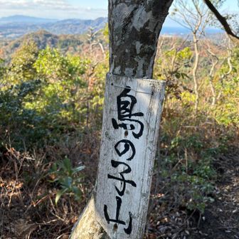 鳥の子山⛰️