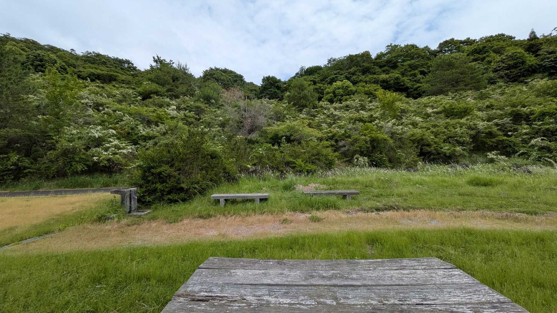 ダムの周り…お花見広場？

まだ早いし、次の山に向かうか？これで帰るか思案中…
折角だからアジフライも食べたいなぁ…
歩きながら地図を見ていたらダムが周回出来そう！


