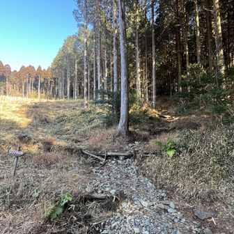 YAMAPの推奨する登山口は左側