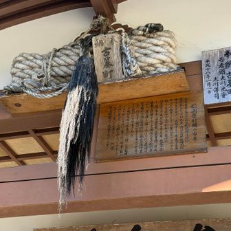 参集殿入口

松例祭引綱
松例祭（冬の峰）に、つつが虫（悪魔）を引張って焼き捨てる神事に使った引き綱

魔除け的な🎯

道中の門前町手向（とうげ）地区でも各宿坊の軒にあった。魔除け的なのだとは思っていたがパッと見、黒いのが毛に見えて生首なのかなと😅

何かひとつでも興味に対する答えが出てくると面白い☺️