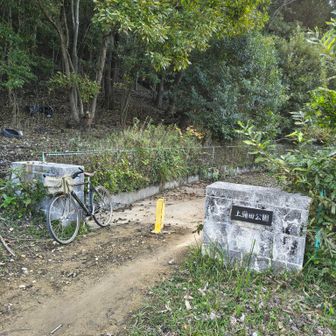 上蒲田公園に自転車置き車